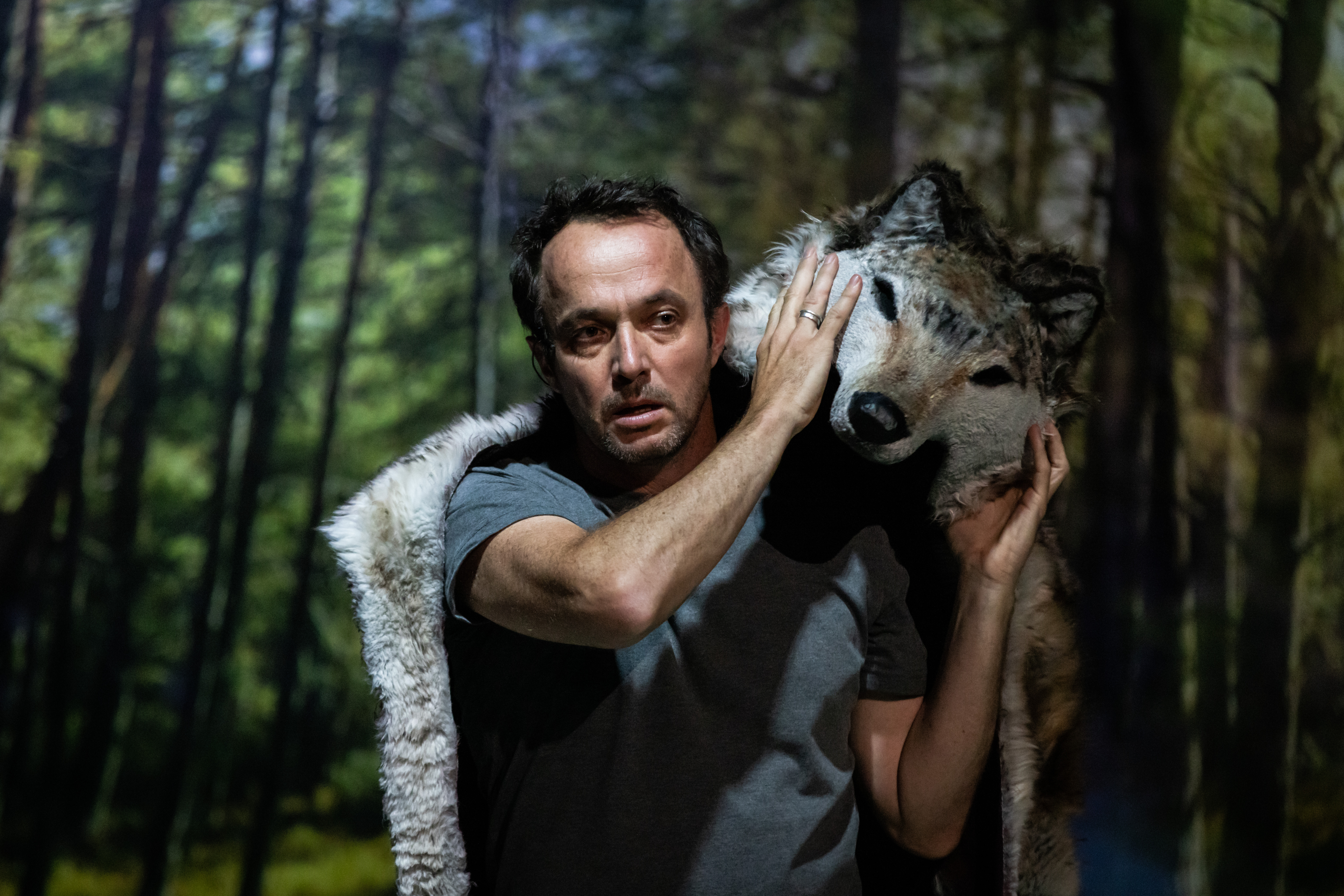 Le petit chaperon rouge